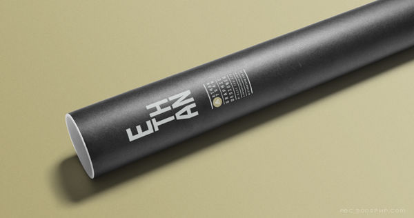 Self Promotion-个人设计师品牌设计-个清晰的视觉体验,黑白色的标志是使用设计师名字的首字母作为主要的视觉元素---酷图编号6