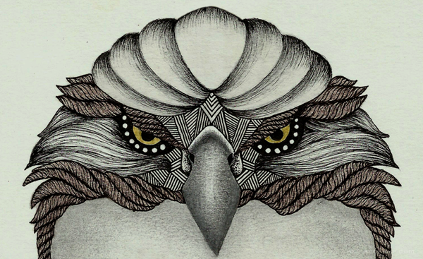 动物头人像插画---酷图编号1