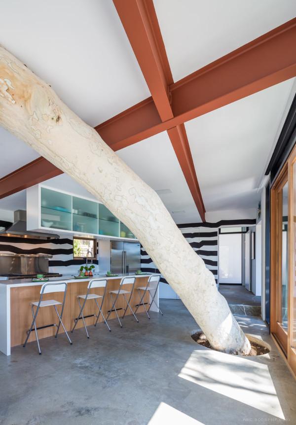 梧桐房-坐落在纽约,面积达1500平方英尺,很多半岛形状和倾斜地形发挥了巨大的自然地理因素,山坡上的多个悬臂给予他们所需的平方英尺,现有的木梁和新钢结构都漆成红色,所有的固定窗都是黑色,锯齿状的黑白色的线,从厨房开始,穿过客厅,让你在享受豪华的生活时同时体验大自然---酷图编号10