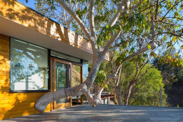 梧桐房-坐落在纽约,面积达1500平方英尺,很多半岛形状和倾斜地形发挥了巨大的自然地理因素,山坡上的多个悬臂给予他们所需的平方英尺,现有的木梁和新钢结构都漆成红色,所有的固定窗都是黑色,锯齿状的黑白色的线,从厨房开始,穿过客厅,让你在享受豪华的生活时同时体验大自然---酷图编号6