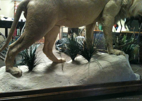 Chatahoochee办公室设计-13000平方英尺的空间设施包括公司办公室和实验室空间,本设计致力于创造一个当代环境,象征着进步的价值观,技术驱动的公司。---酷图编号1102502