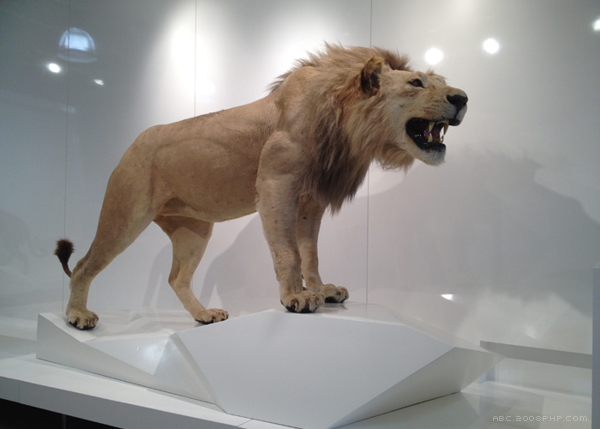 Chatahoochee办公室设计-13000平方英尺的空间设施包括公司办公室和实验室空间,本设计致力于创造一个当代环境,象征着进步的价值观,技术驱动的公司。---酷图编号1102504