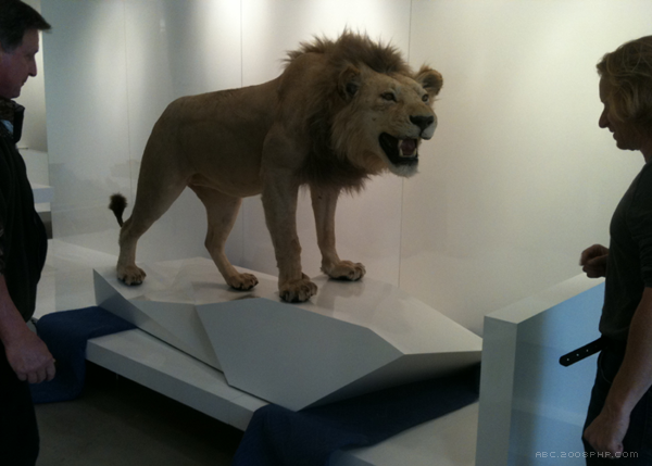 Chatahoochee办公室设计-13000平方英尺的空间设施包括公司办公室和实验室空间,本设计致力于创造一个当代环境,象征着进步的价值观,技术驱动的公司。---酷图编号1102506