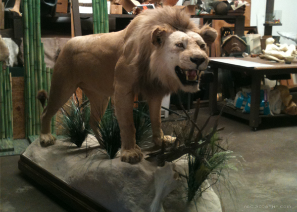 Chatahoochee办公室设计-13000平方英尺的空间设施包括公司办公室和实验室空间,本设计致力于创造一个当代环境,象征着进步的价值观,技术驱动的公司。---酷图编号1102508