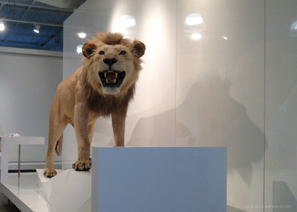 Chatahoochee办公室设计-13000平方英尺的空间设施包括公司办公室和实验室空间,本设计致力于创造一个当代环境,象征着进步的价值观,技术驱动的公司。---酷图编号1102509