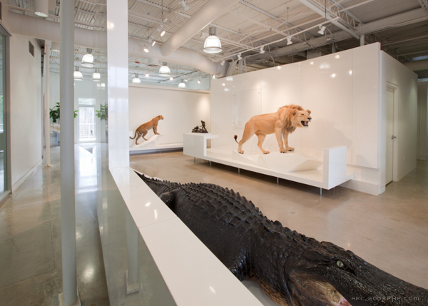 Chatahoochee办公室设计-13000平方英尺的空间设施包括公司办公室和实验室空间,本设计致力于创造一个当代环境,象征着进步的价值观,技术驱动的公司。---酷图编号1102513