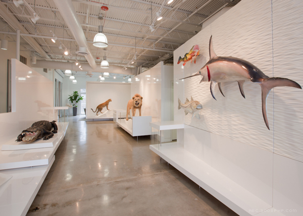 Chatahoochee办公室设计-13000平方英尺的空间设施包括公司办公室和实验室空间,本设计致力于创造一个当代环境,象征着进步的价值观,技术驱动的公司。---酷图编号1102519