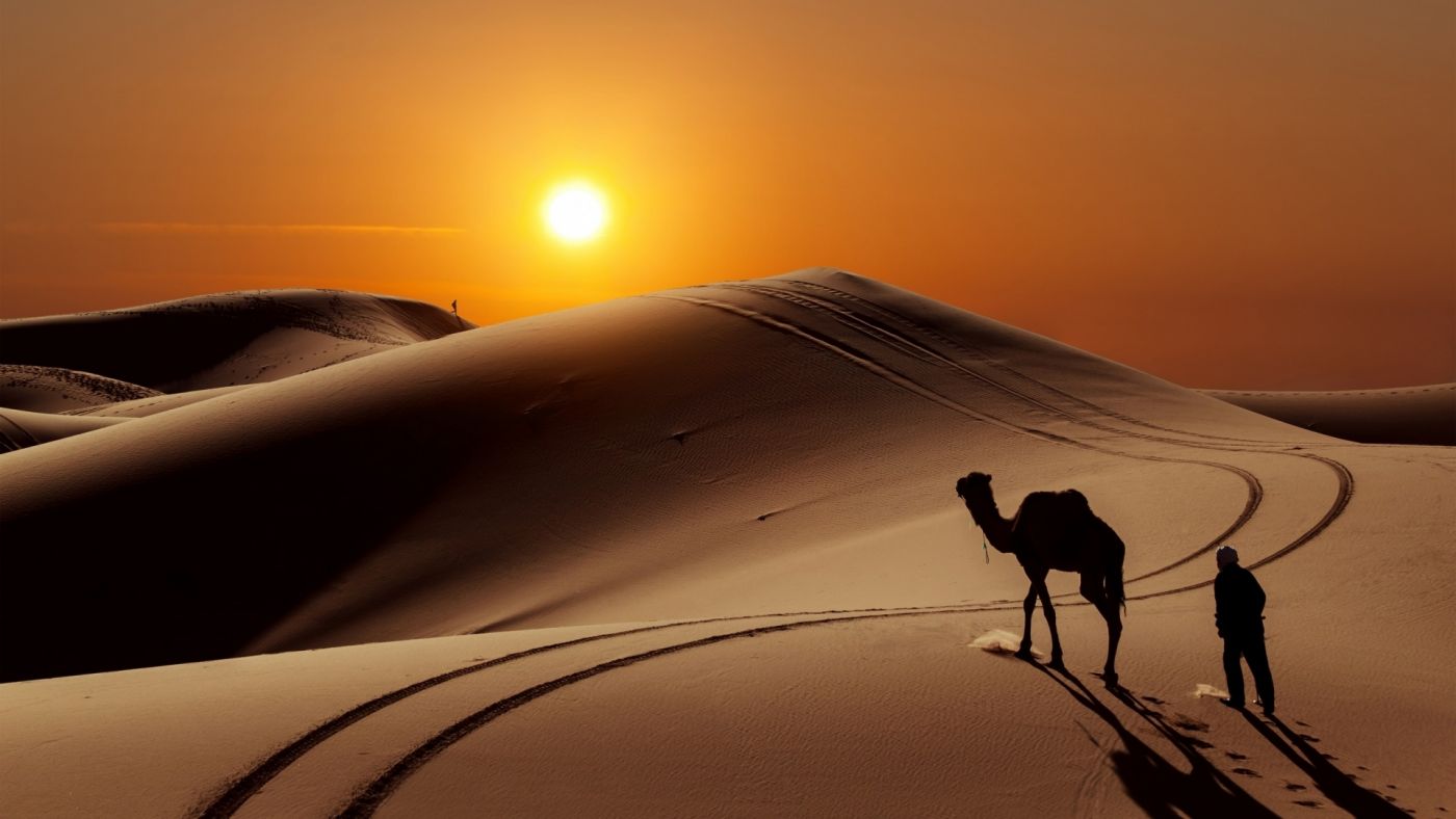撒哈拉沙漠的日落沙漠旅游图片下载 - 觅知网