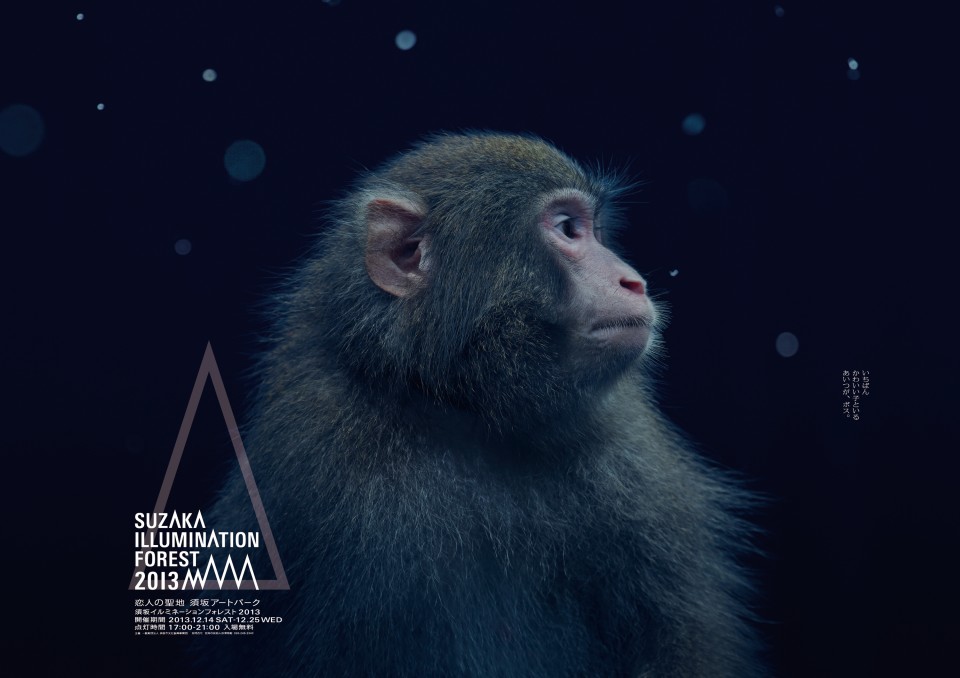 照明森林-Illumination Forest公益平面广告---酷图编号2