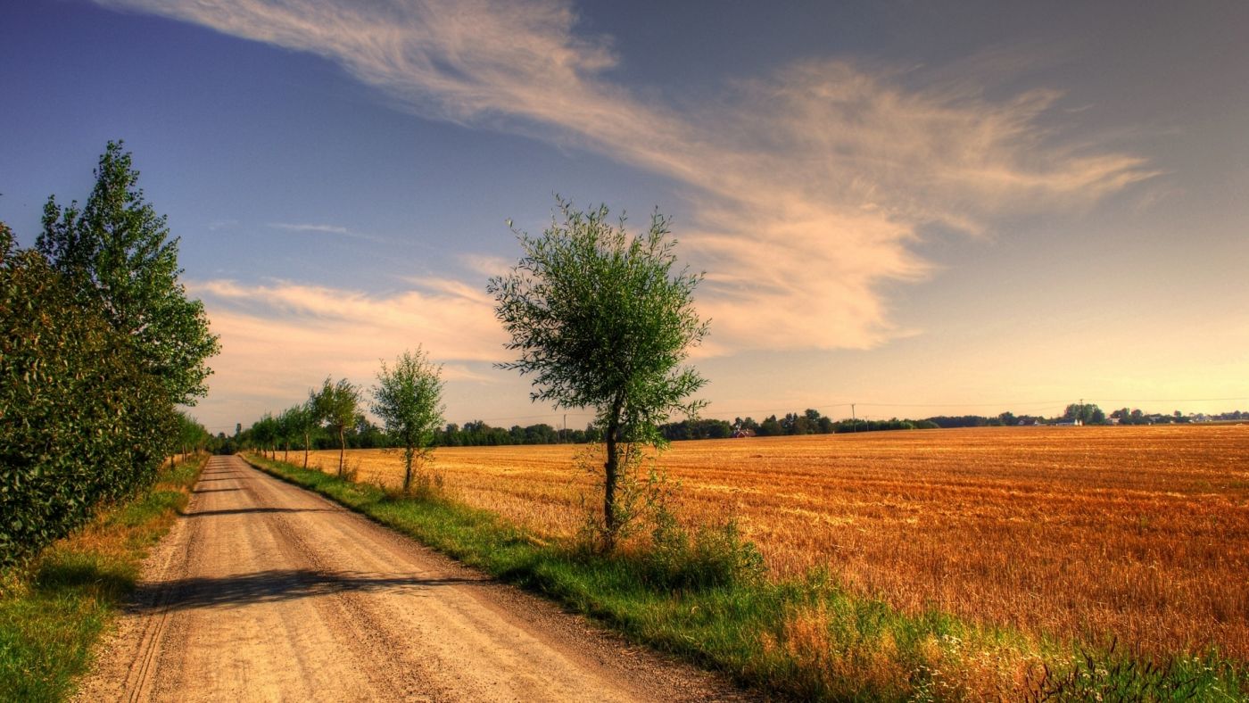 高清晰田野自行车路壁纸图片