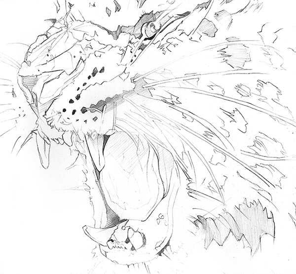 DERWENT-水溶性铅笔素描豹插画---酷图编号1