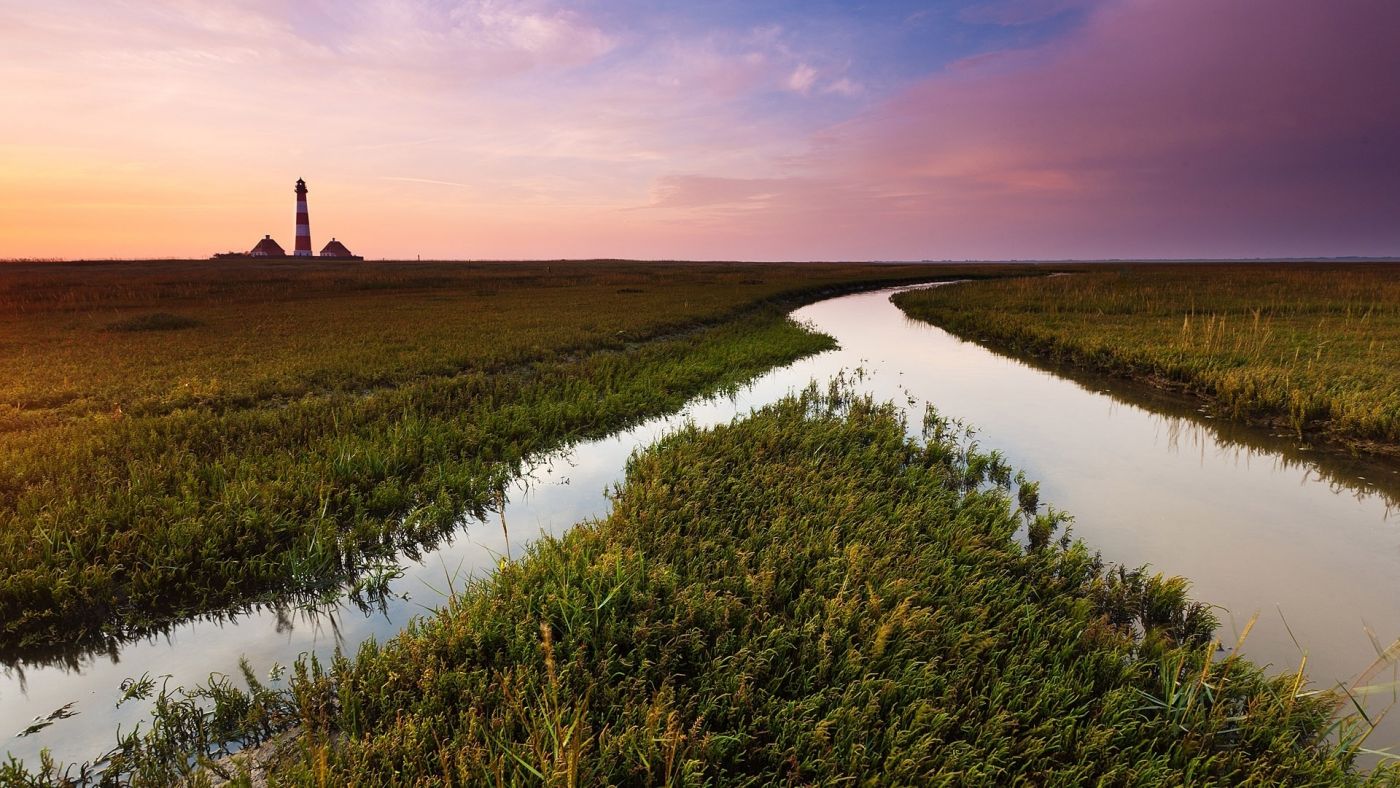 夕阳下的分叉小河图片