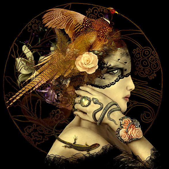 特别的珠宝给特别的你---酷图编号4