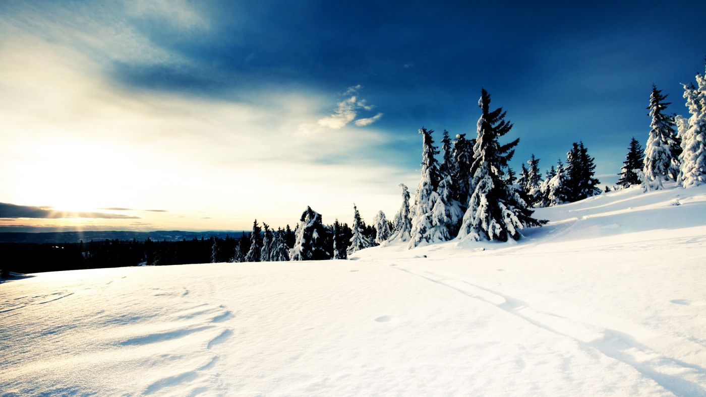 在一个寒冷、阳光明媚的冬天，房子和花园的树木被雪覆盖着，天空清澈、湛蓝照片摄影图片_ID:159411480-Veer图库