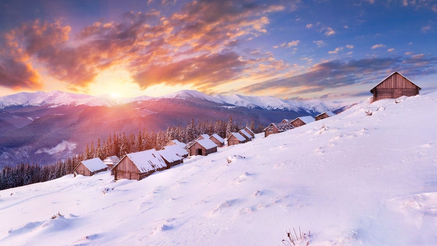 日落在冬日的雪林里，风景优美照片摄影图片_ID:134579925-Veer图库