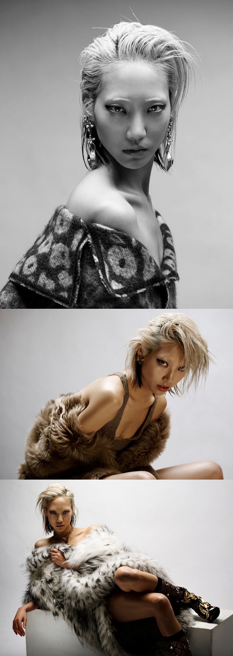 野生的杂志-迷人的图像图片