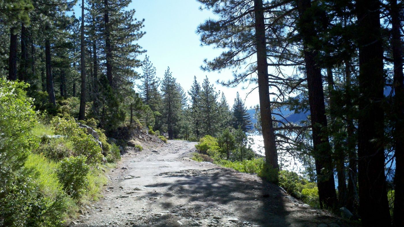 高清晰绿色鲍曼湖路图片