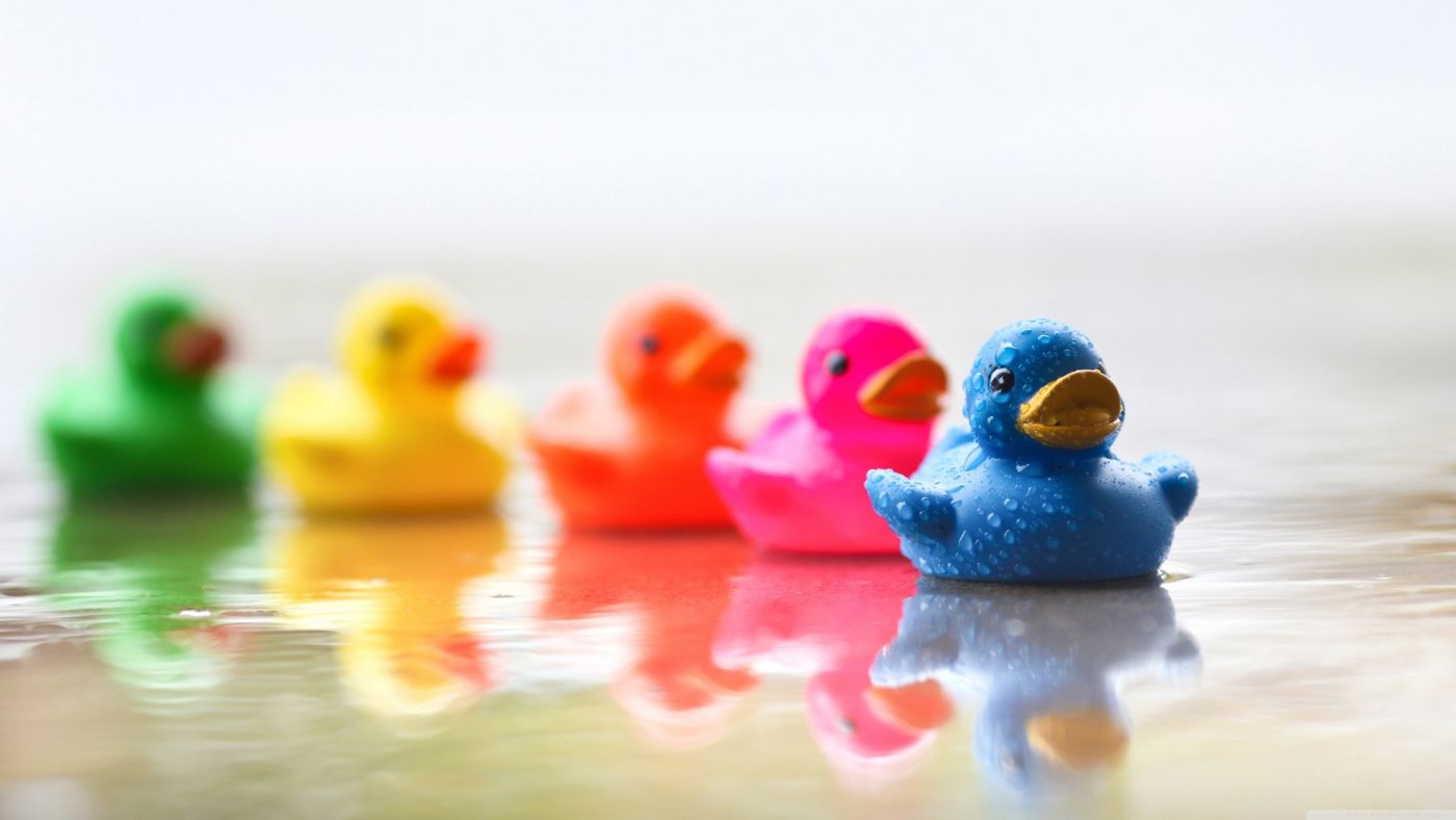 可爱的彩色橡胶鸭图片