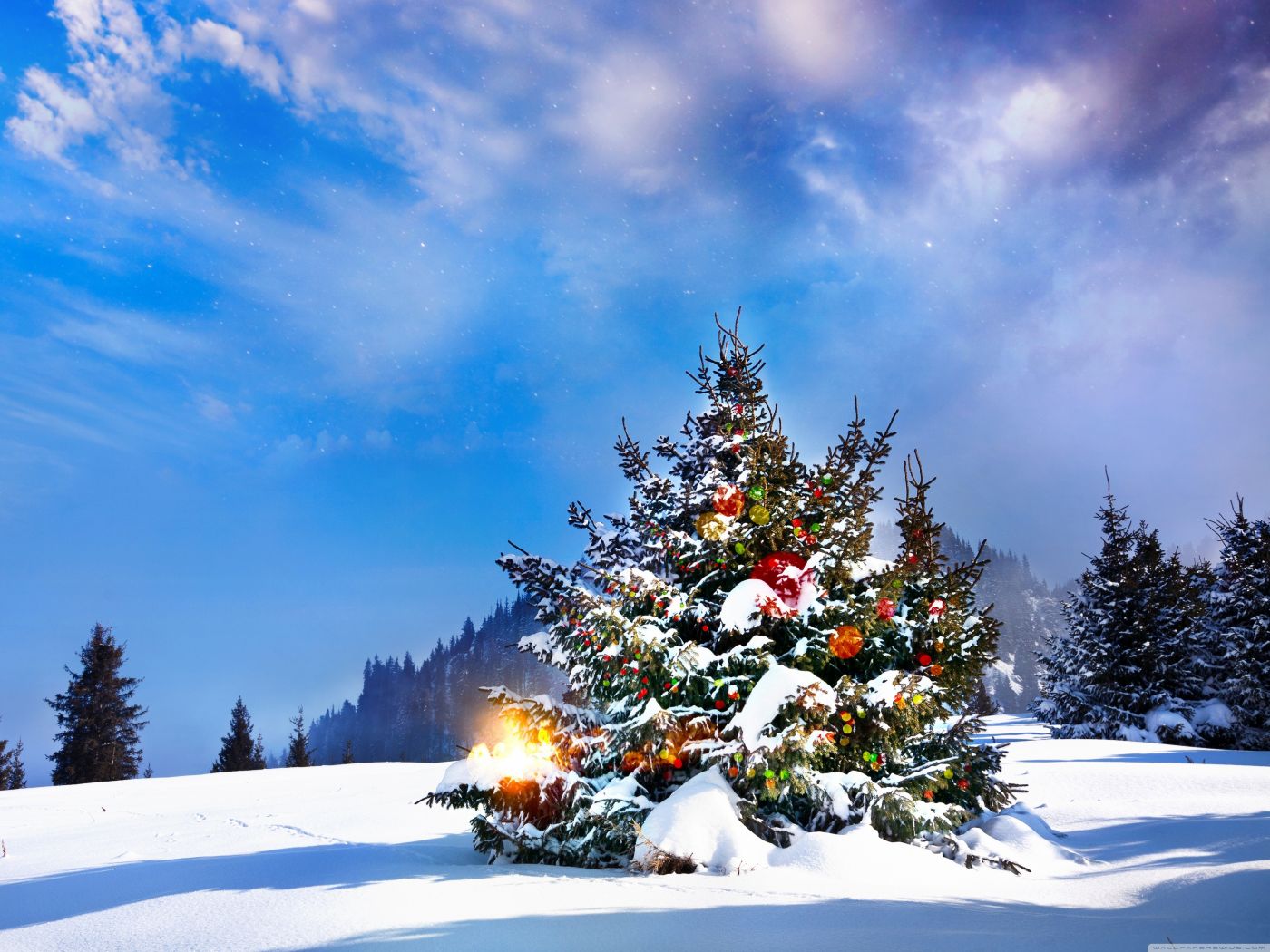 高清晰蓝天雪景下的圣诞树壁纸 欧莱凯设计网 08php Com