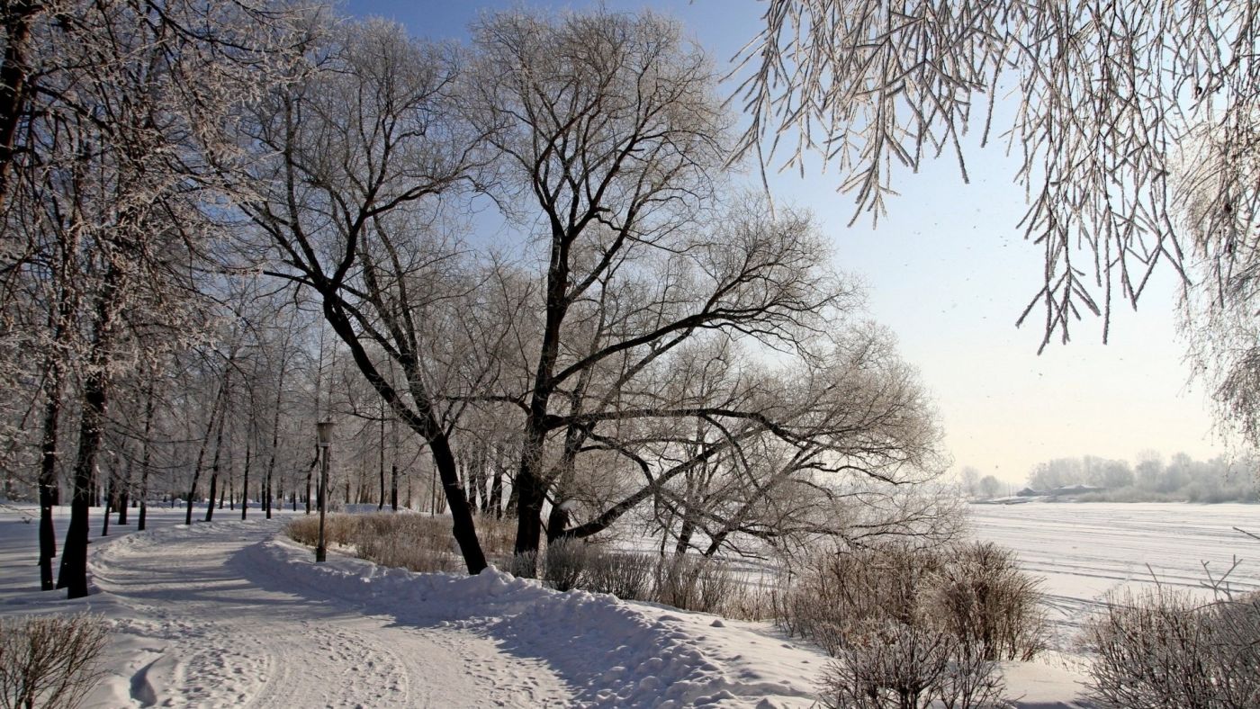 北京•冬天的树|摄影|风光|志洁行芳 - 原创作品 - 站酷 (ZCOOL)