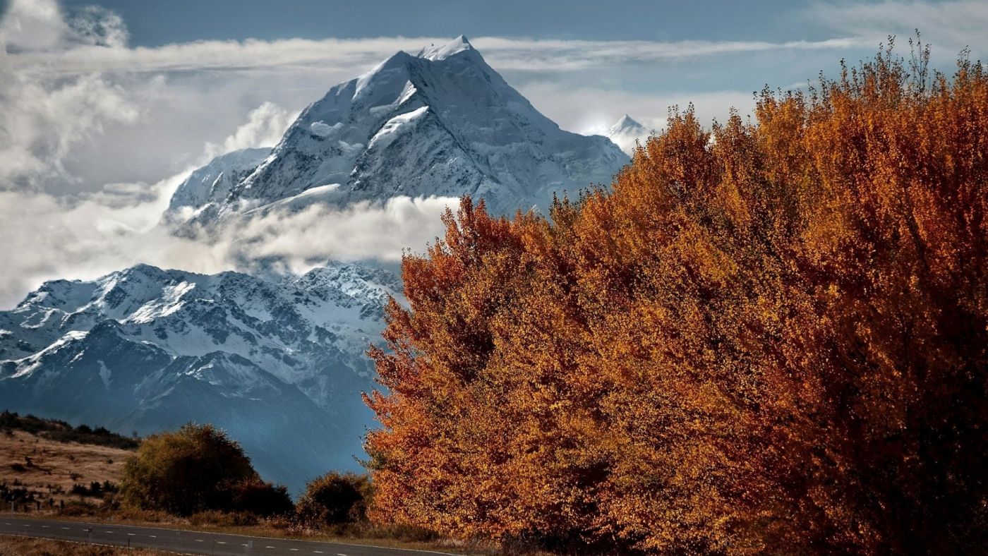 大秋天的树木的山路图片
