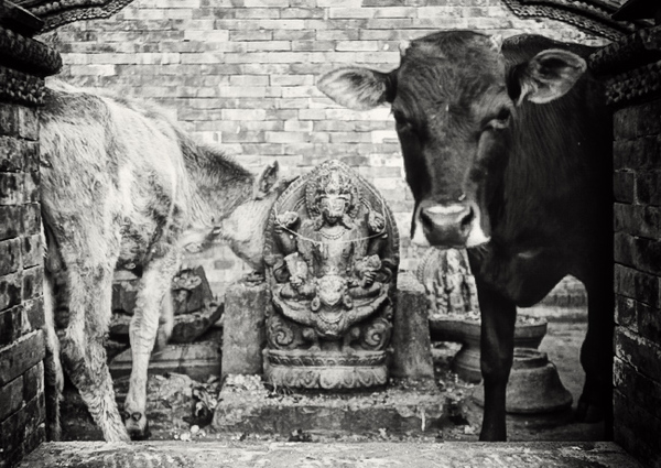 尼泊尔纪实黑白肖像---酷图编号5