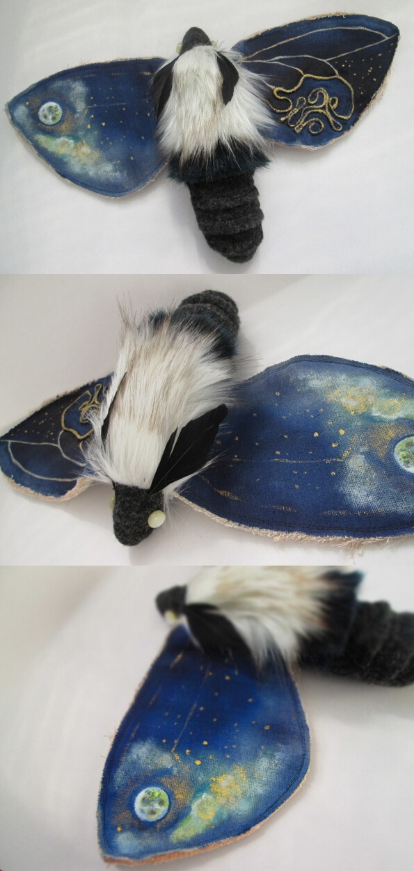 Night Butterfly II夜蝴蝶图片