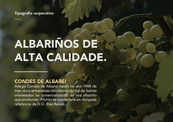 Condes de Albarei葡萄酒品牌包装设计---酷图编号1124304