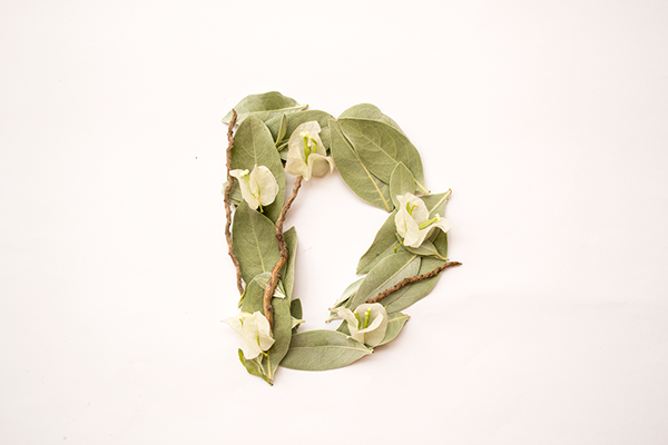 inicio-鲜花数字组成的字母设计---酷图编号1