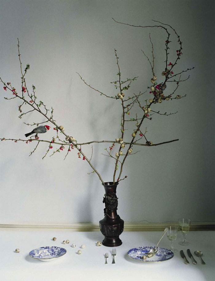 蒂姆・沃克腾-VOGUE意大利时尚2015年5月-一个梦幻般以鸟家禽静物为晚餐的社论摄影作品---酷图编号8