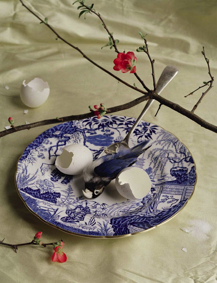 蒂姆・沃克腾-VOGUE意大利时尚2015年5月-一个梦幻般以鸟家禽静物为晚餐的社论摄影作品---酷图编号1