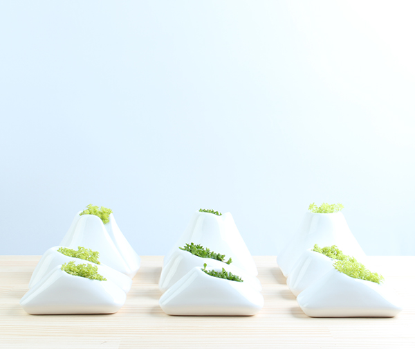 此山中-盆景设计---酷图编号6