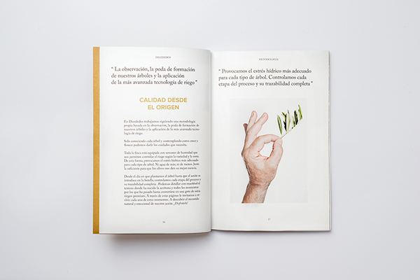 Diez Dedos宣传册设计---酷图编号12