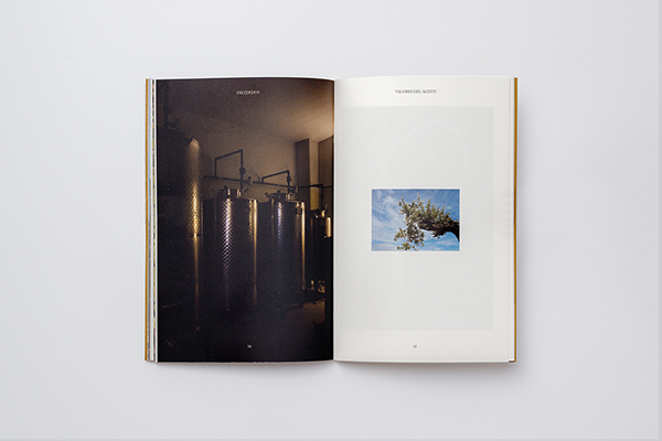 Diez Dedos宣传册设计---酷图编号8