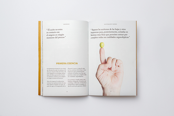 Diez Dedos宣传册设计---酷图编号6