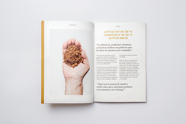 Diez Dedos宣传册设计---酷图编号4