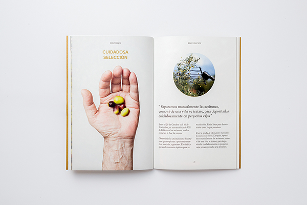 Diez Dedos宣传册设计---酷图编号1