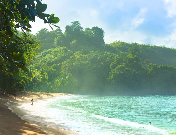 Tobago-加勒比地区-大马格达莱纳海滩度假村和多巴哥种植园高尔夫球场海滩风景---酷图编号14