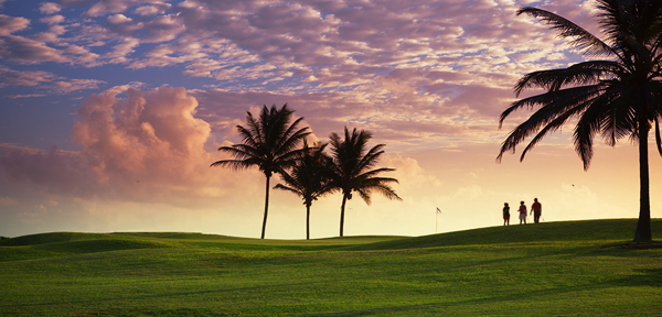 Tobago-加勒比地区-大马格达莱纳海滩度假村和多巴哥种植园高尔夫球场海滩风景---酷图编号8
