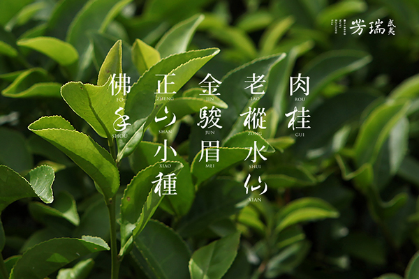 武夷瑞芳茶-品牌包装设计---酷图编号16