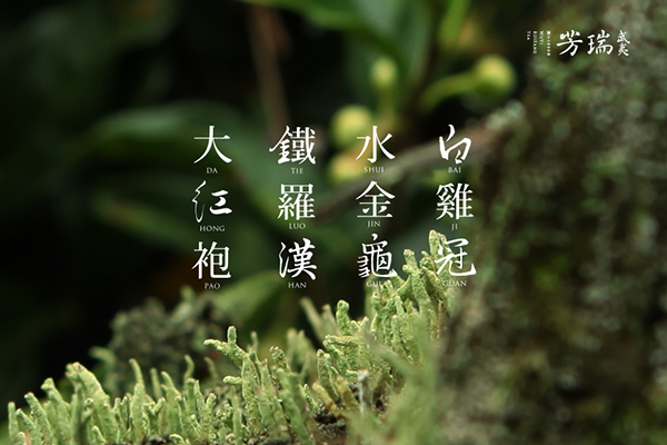 武夷瑞芳茶-品牌包装设计---酷图编号14