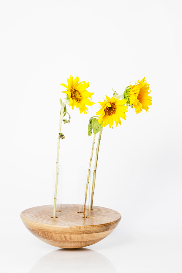 奇怪的花瓶---酷图编号4