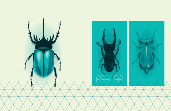 Insecta-甲壳虫昆虫插画设计---酷图编号2