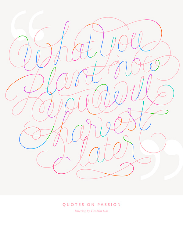 Quotes on Passion-漂亮的流线型花纹字母设计---酷图编号1