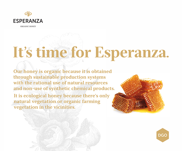 墨西哥Esperanza-有机蜂蜜品牌宣传册设计-围绕着简单和简洁线条,旨在反映品牌荣誉,通过细节的精致手工制造工艺来达到优雅的格调---酷图编号8