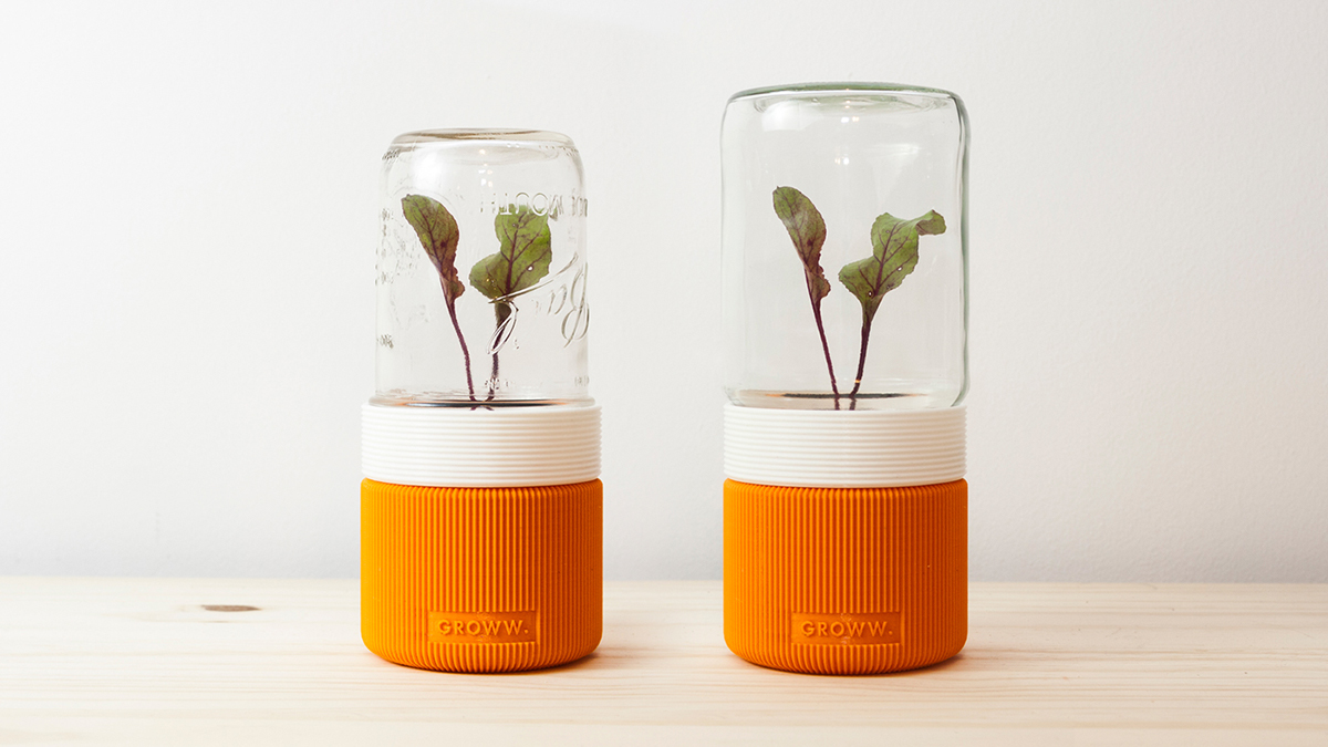 GROWW小温室透明玻璃瓶花盆设计---酷图编号3