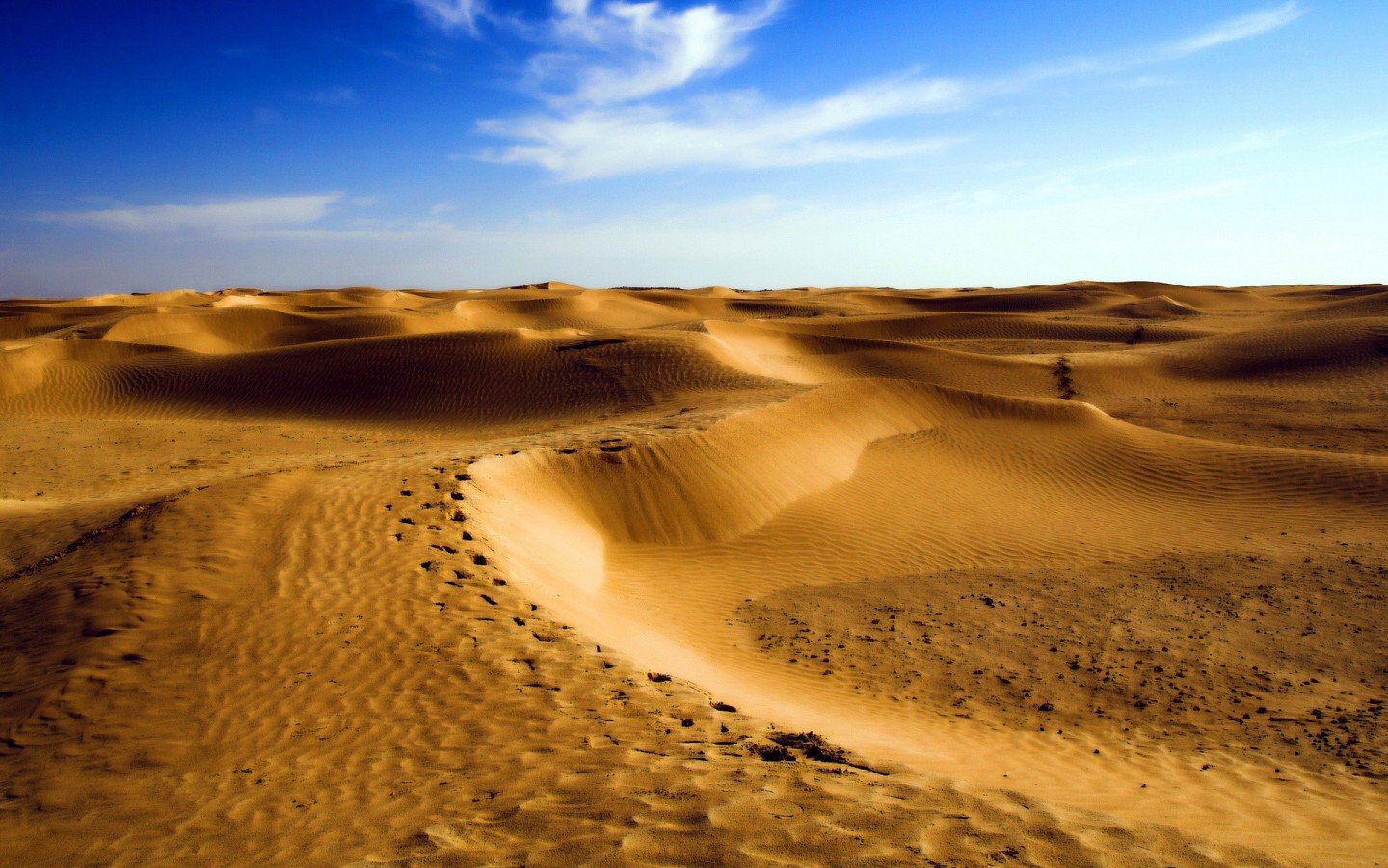 撒哈拉沙漠日出高清图片下载-正版图片500755267-摄图网