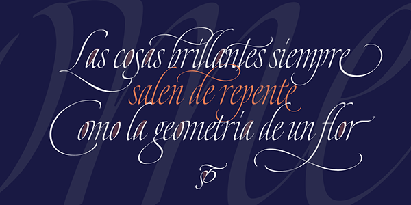 Dream Script-梦幻剧本花纹字体设计---酷图编号6