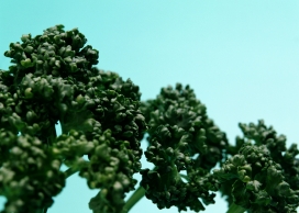 高清晰绿色蔬菜壁纸