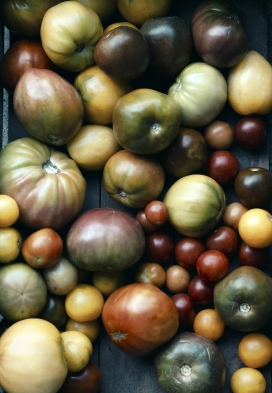 The Agrarian Kitchen-农家厨房记录图